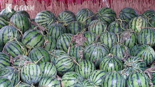 51热门大瓜今日大瓜