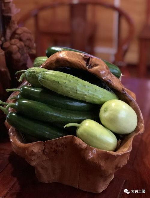 网红大瓜在哪找,揭秘热门事件背后的秘密聚集地