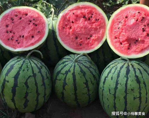 吃瓜网官网免费观看,热门剧集一网打尽！