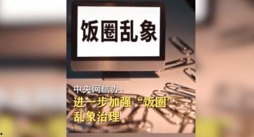 今日十大热点新闻 2025十大热点社会现象 明星小说,社会现象与明星小说的交织共鸣
